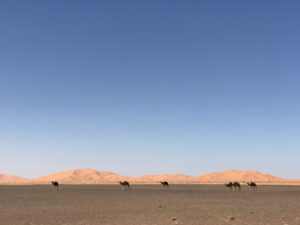 Zandduinen Marokko